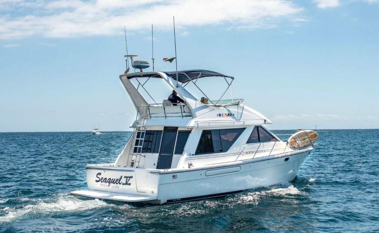 Bayliner 3988 | Seaquel 5