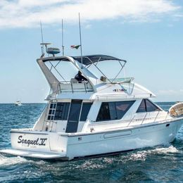 Bayliner 3988 | Seaquel 5