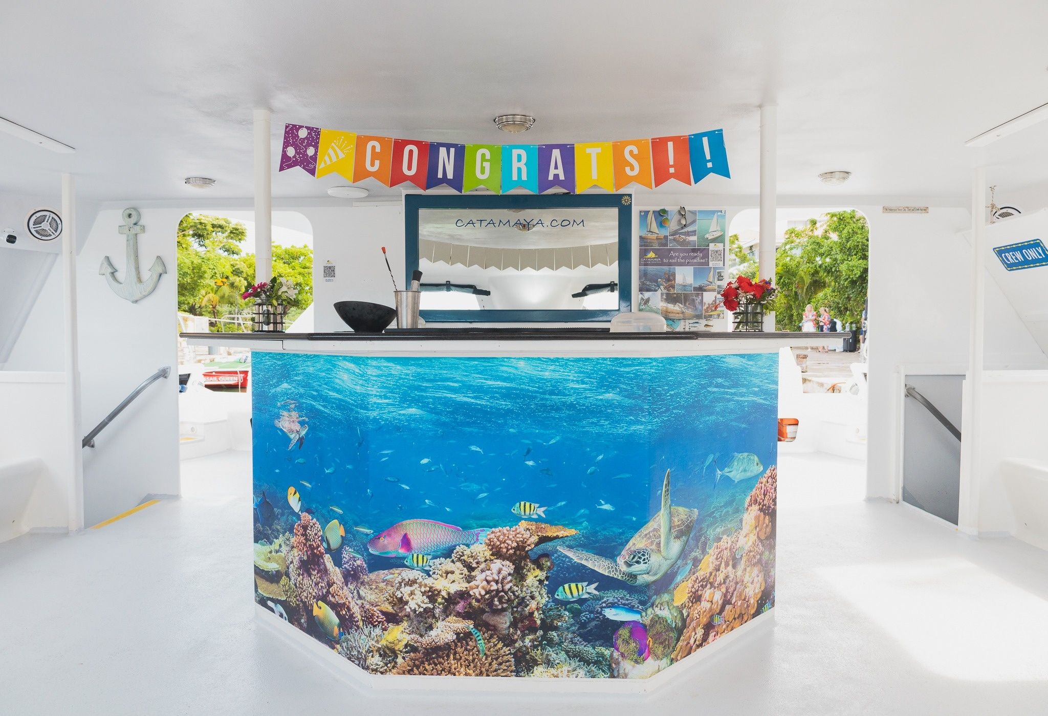 Custom Built 65 | Catamaya