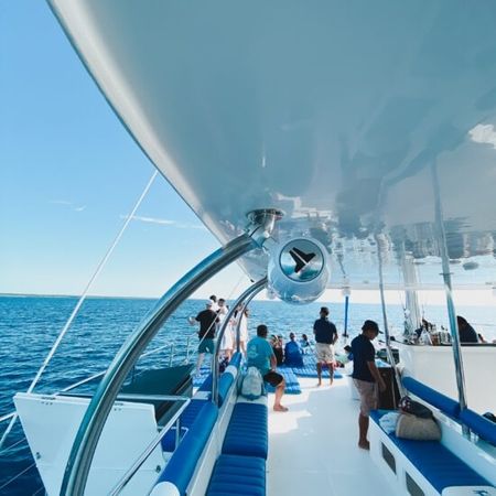 Contoy 70 | The Party