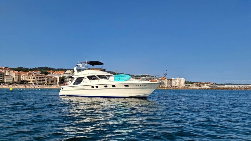 Princess V55 | Loyal