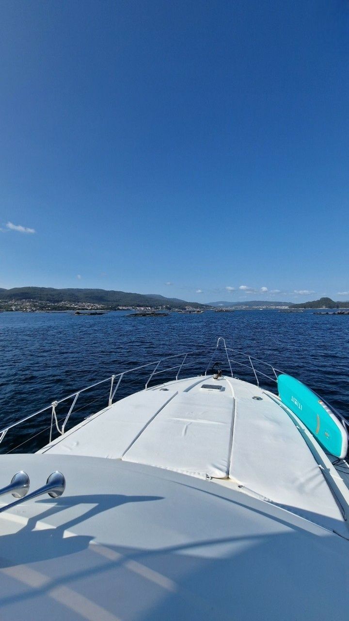 Princess V55 | Loyal