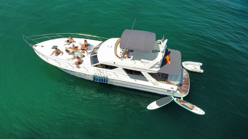 Princess V55 | Loyal