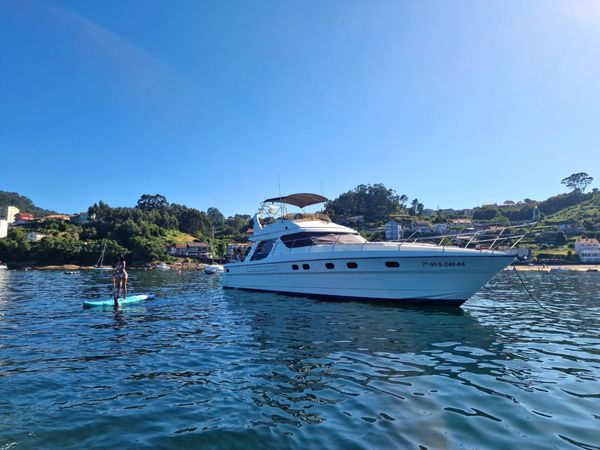 Princess V55 | Loyal