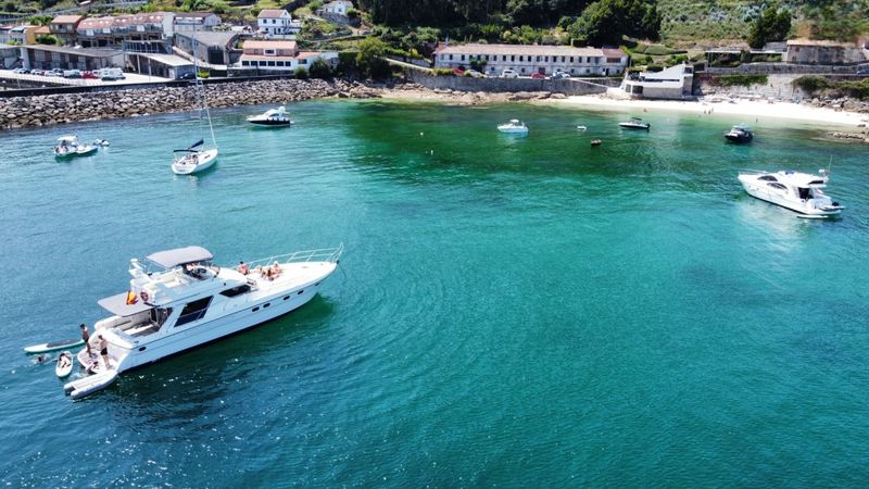 Princess V55 | Loyal