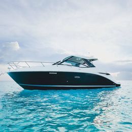 Sea Ray Sundancer 320 | Sea Horse RRR