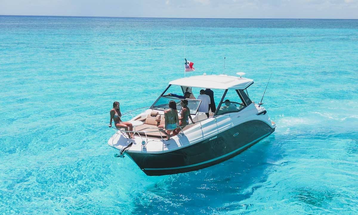 Sea Ray Sundancer 320 | Sea Horse RRR