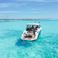 Sea Ray Sundancer 320 | Sea Horse RRR