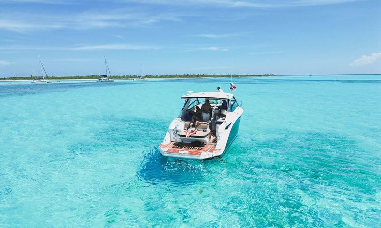 Sea Ray Sundancer 320 | Sea Horse RRR