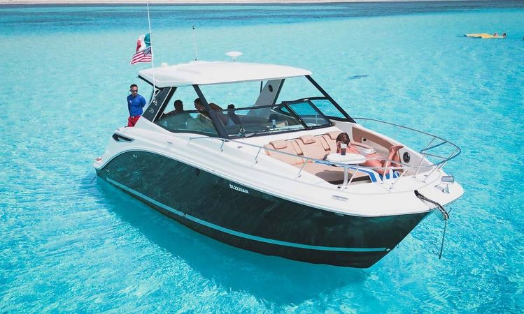 Sea Ray Sundancer 320 | Sea Horse RRR