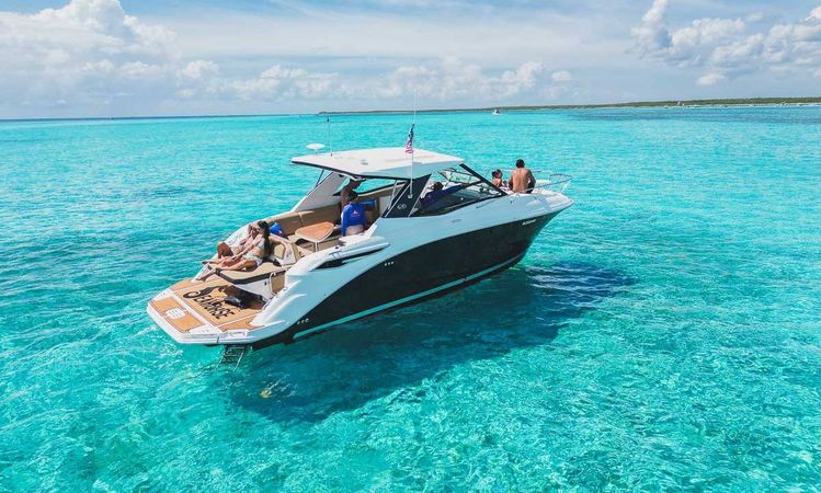 Sea Ray Sundancer 320 | Sea Horse RRR