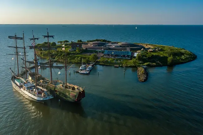 Nicols Estivale Quattro B | Gold Wave