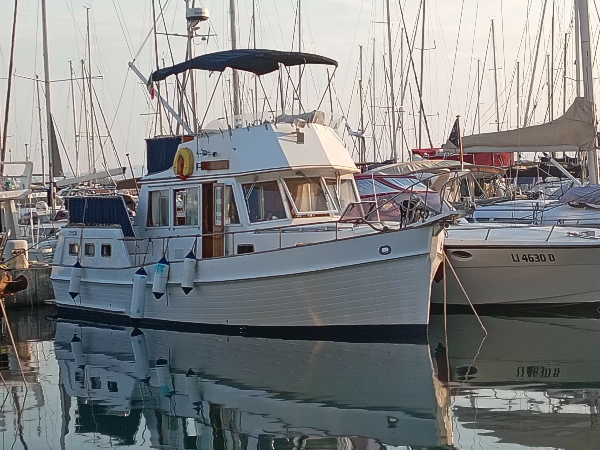 Grand Banks 32 | Mango