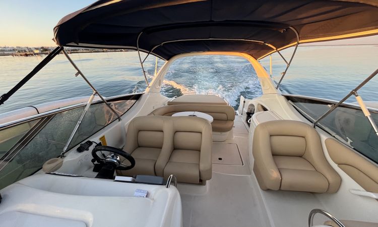 Princess V50 | The One