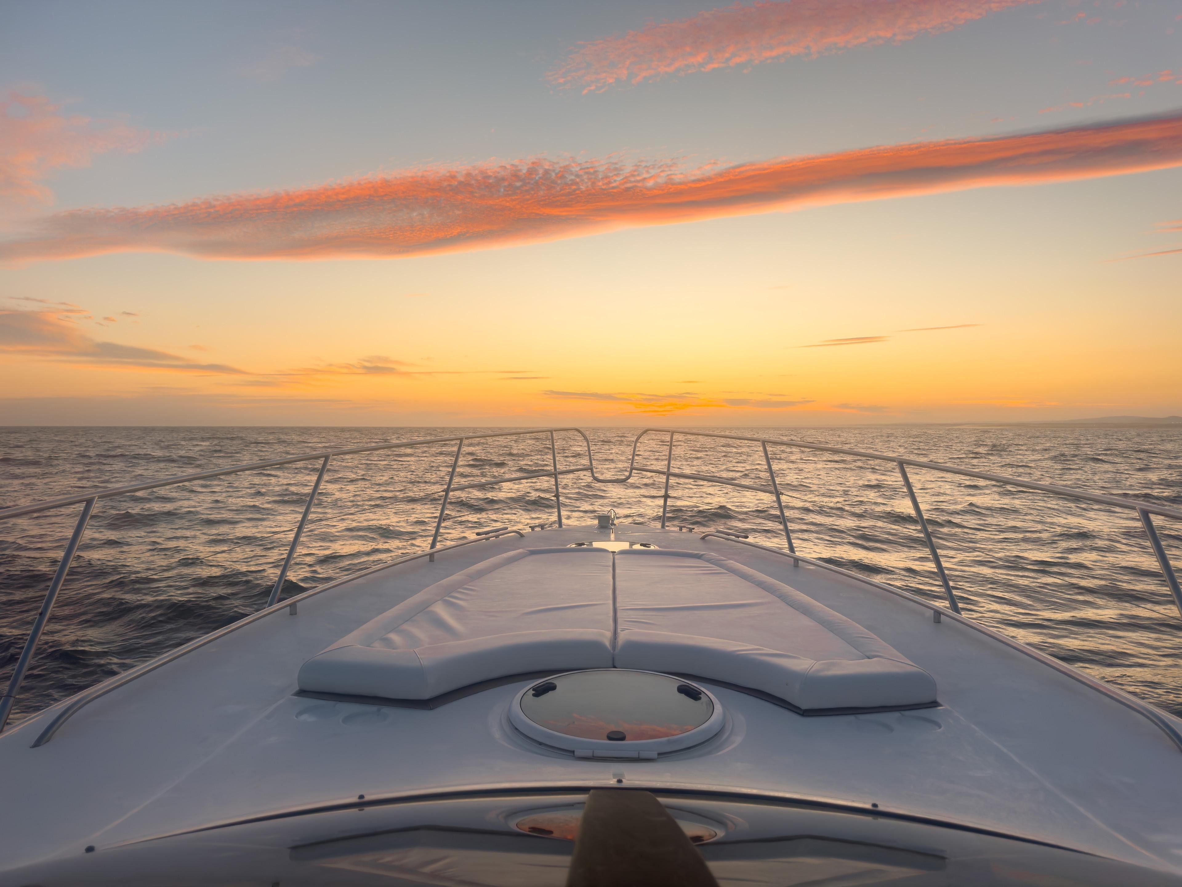 Princess V50 | The One