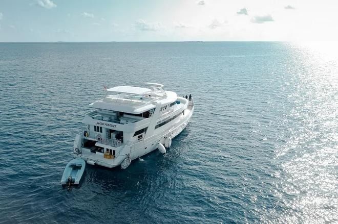 Custom Built 98 | Amba