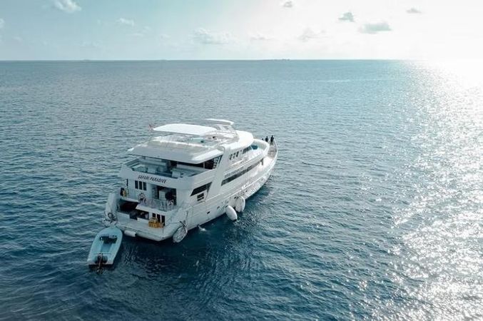 Custom Built 98 | Amba