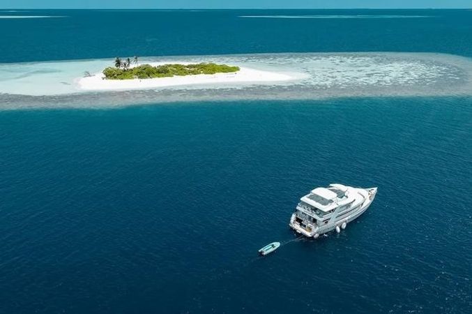 Custom Built 98 | Amba