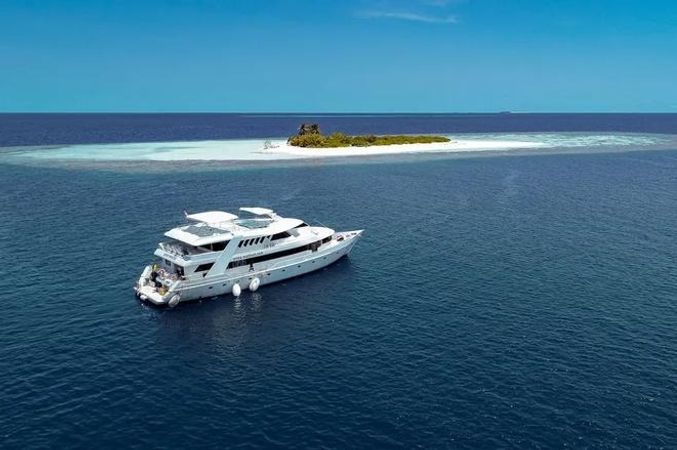 Custom Built 98 | Amba