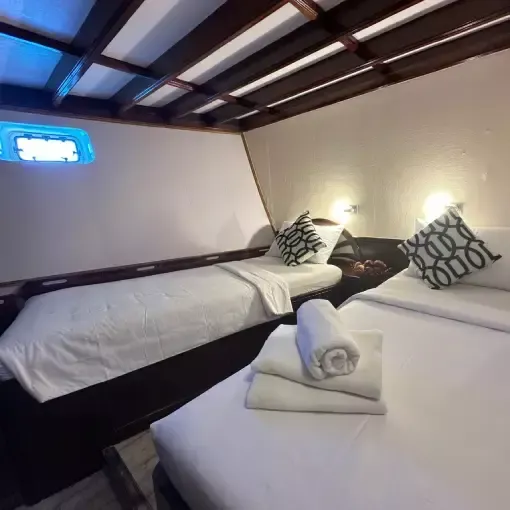 Custom Built 98 | Amba