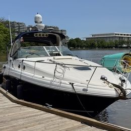 Sea Ray Sundancer 390 | Keula Binelly