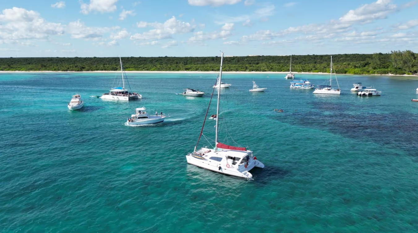 Leopard 47 | The Myla Mel