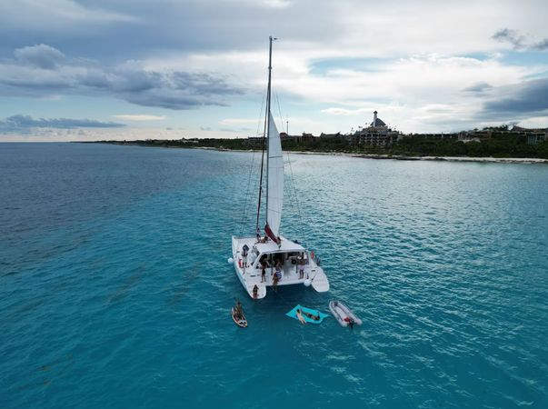 Leopard 47 | The Myla Mel