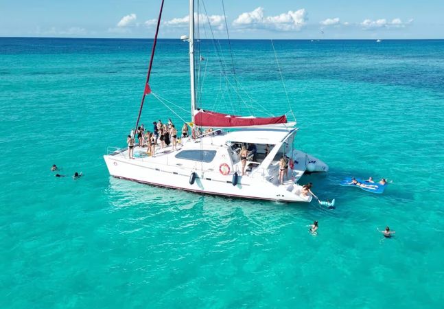 Leopard 47 | The Myla Mel