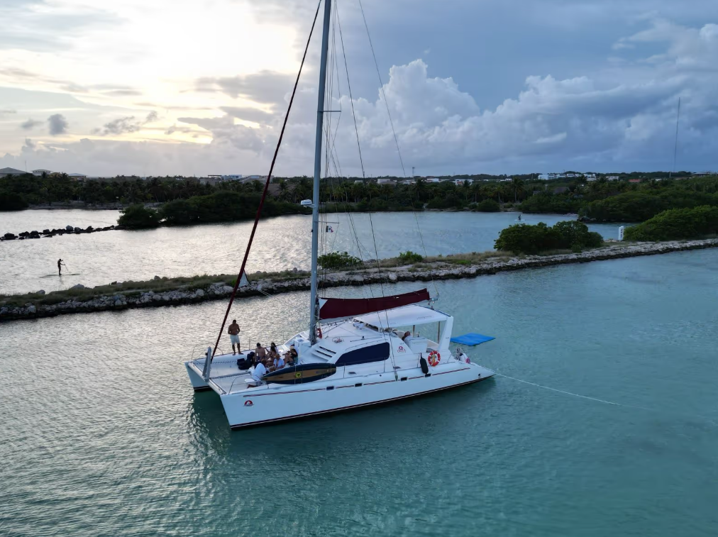 Leopard 47 | The Myla Mel