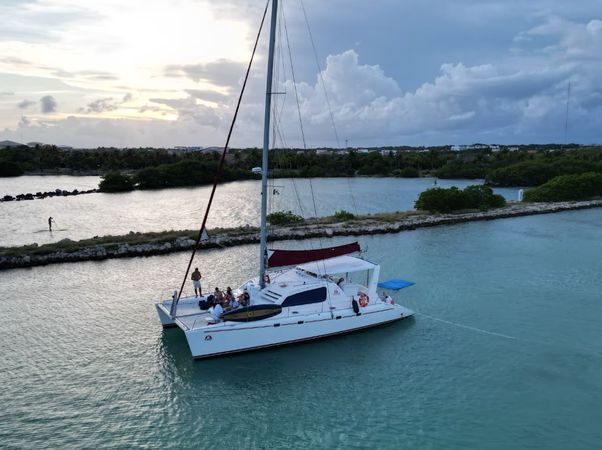 Leopard 47 | The Myla Mel