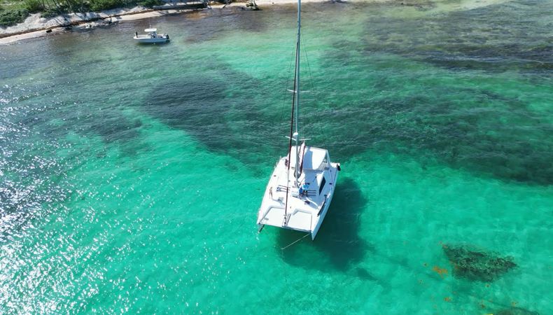 Leopard 47 | The Myla Mel