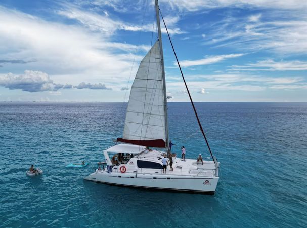 Leopard 47 | The Myla Mel