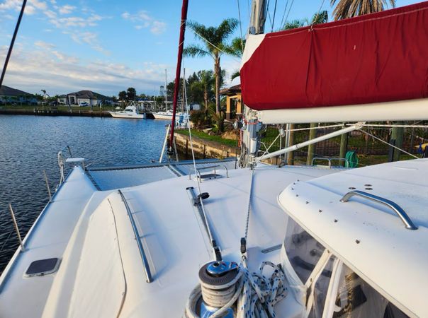 Leopard 47 | The Myla Mel