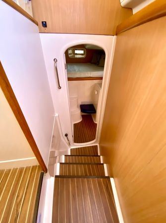 Leopard 47 | The Myla Mel