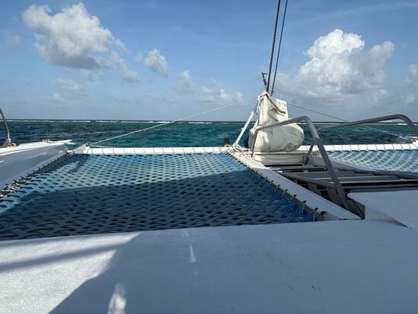 Custom Built 46 | Paso Doble