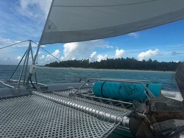 Custom Built 46 | Paso Doble