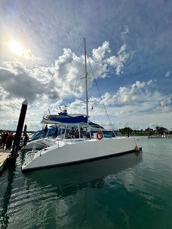 Custom Built 46 | Paso Doble