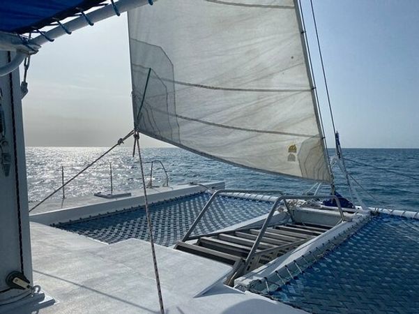 Custom Built 46 | Paso Doble