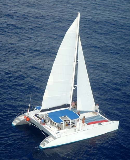 Custom Built 46 | Paso Doble