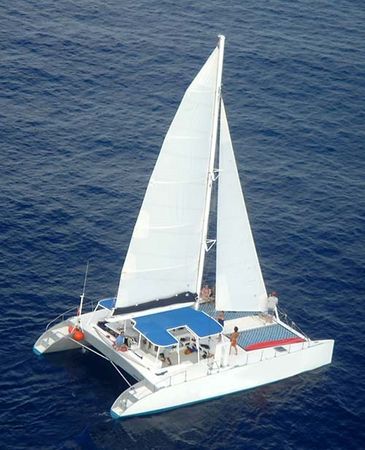 Custom Built 46 | Paso Doble