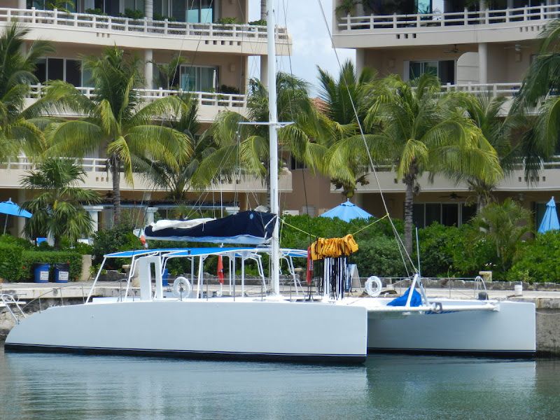 Custom Built 46 | Paso Doble