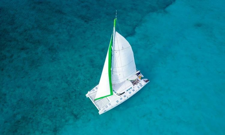 Custom Built 55 | Tiare