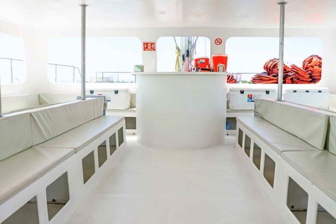 Custom Built 65 | Amazona