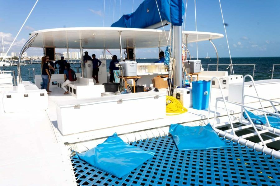 Custom Built 65 | Amazona