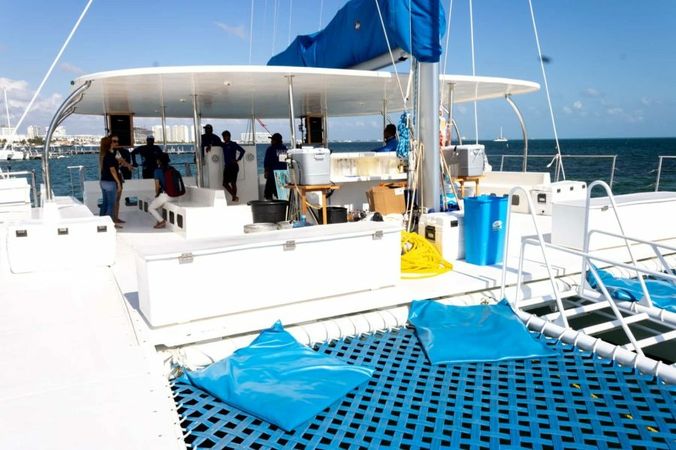 Custom Built 65 | Amazona