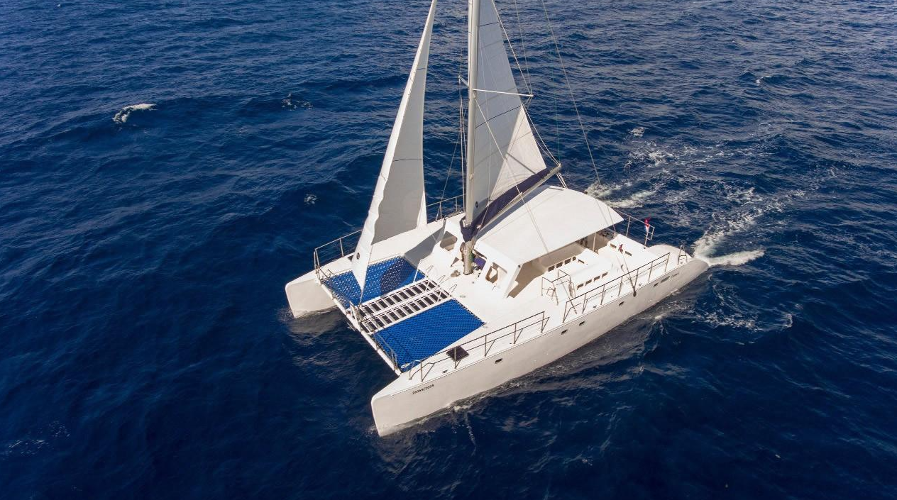 Custom Built 65 | Amazona