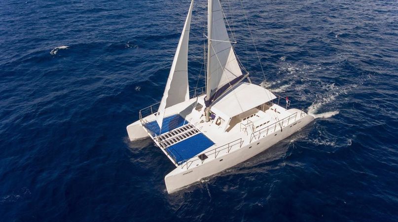 Custom Built 65 | Amazona