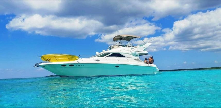Sea Ray Sedane Bridge 400 | Aquaman