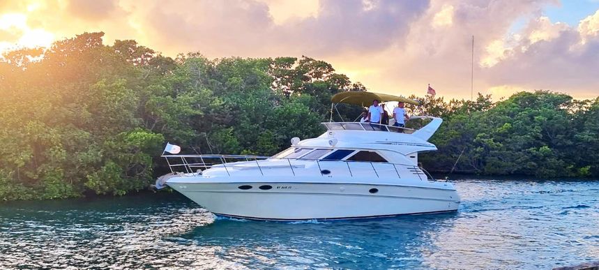 Sea Ray Sedane Bridge 400 | Aquaman