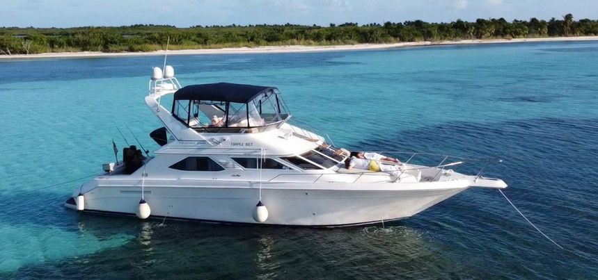 Sea Ray 47 Sedan Bridge | Triple Net